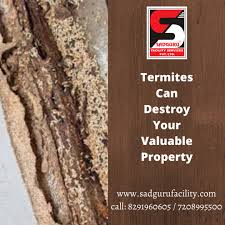 Pest Control Services in Kandivali | Pest Control in Kandivali