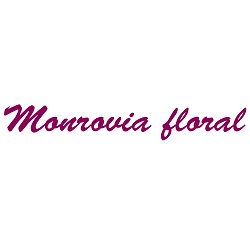 Monrovia Floral