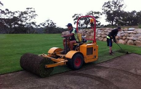 Bermuda Grass for Summer Season
