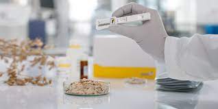 Mycotoxin Testing Market 2021 Major Key Players and Industry Analysis Till 2027