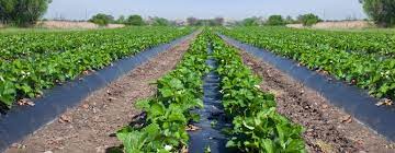 Global Micro Irrigation Systems Market Report, Latest Trends, Industry Opportunity & Forecast to 2027