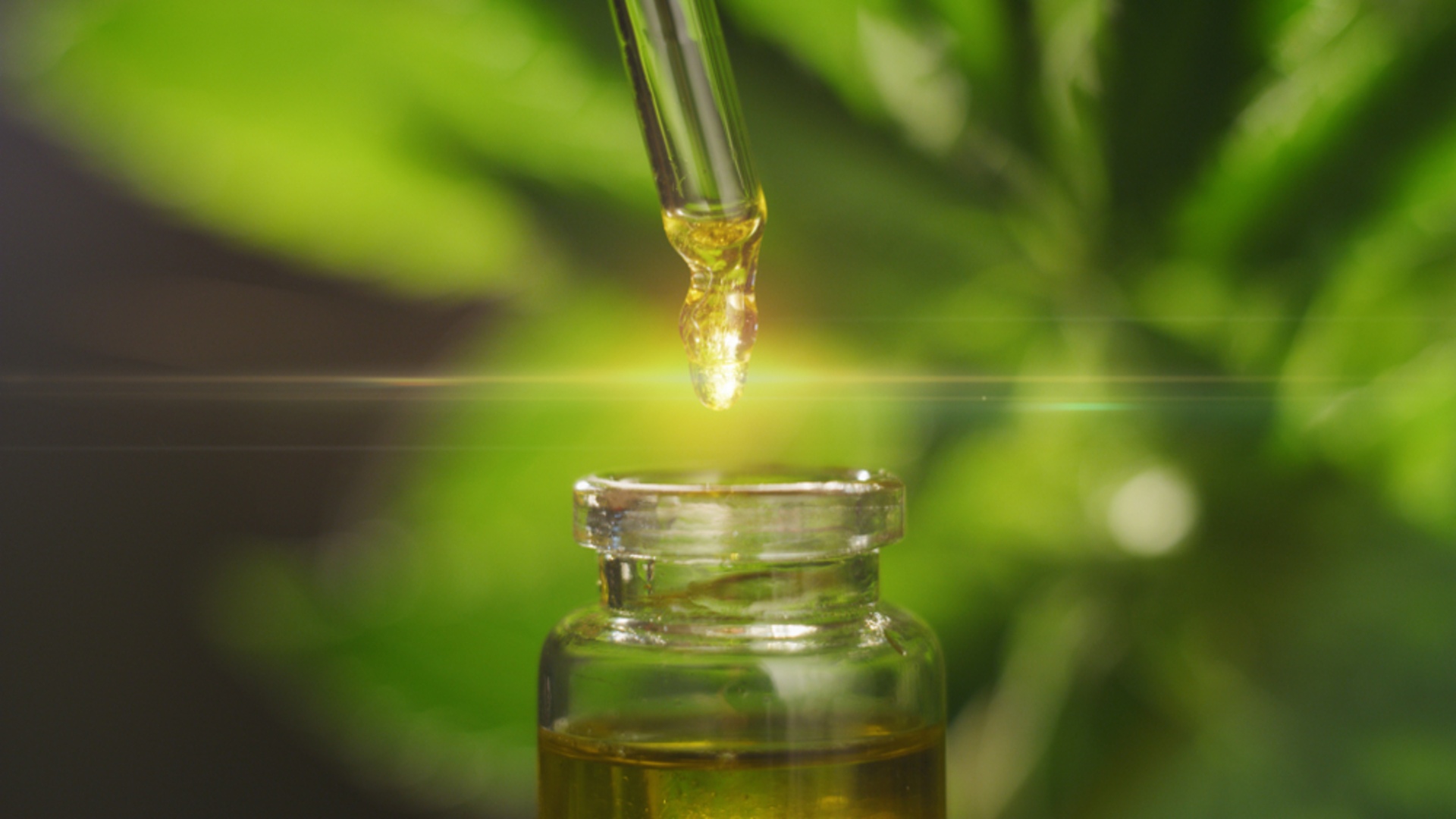 How To Grow Your CBD Business With Effective Business Marketing Strategies?
