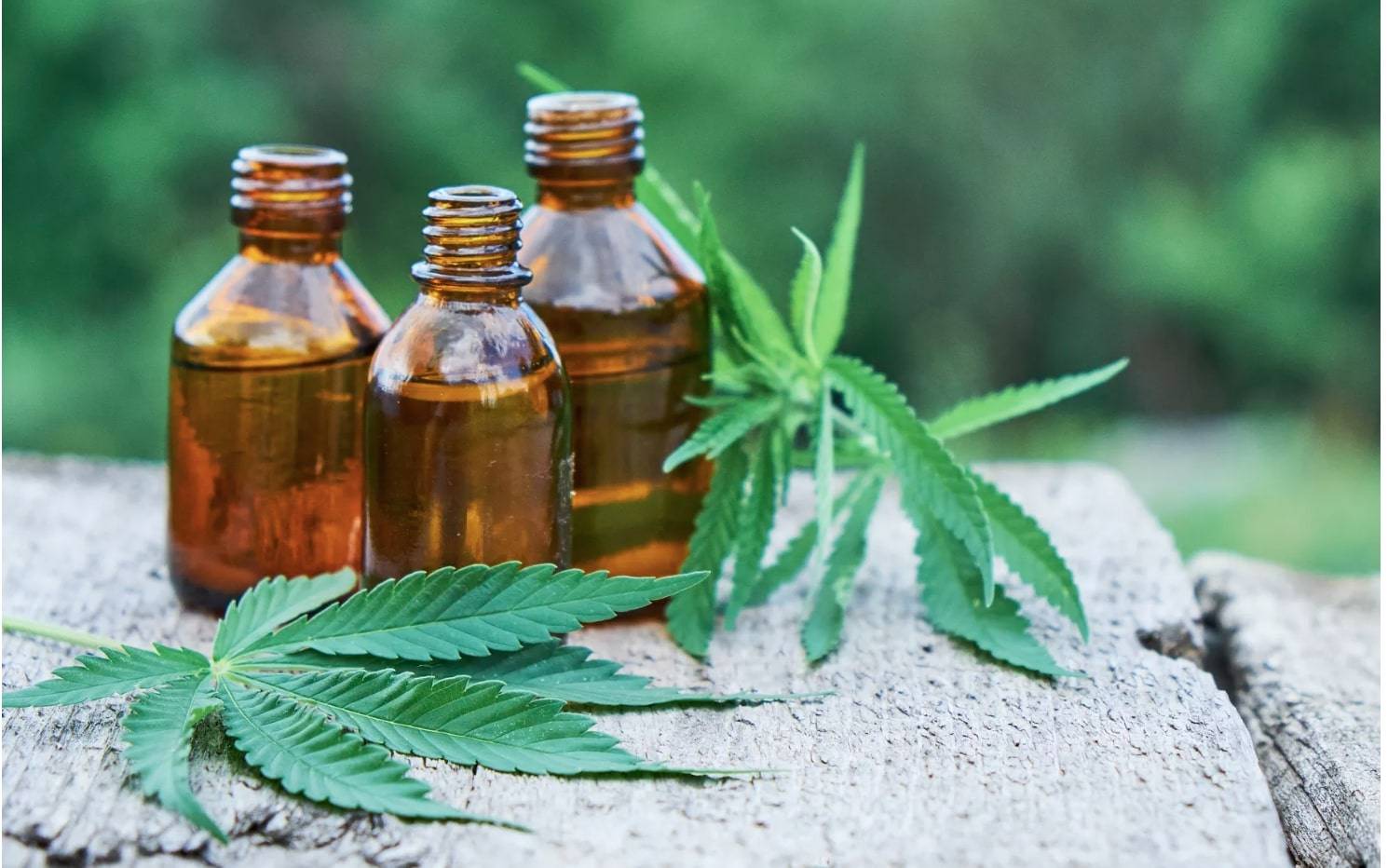 Why CBD Marketing Is Essential For Each CBD Brand?