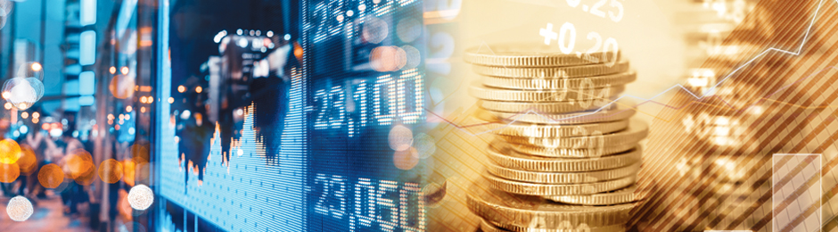 Esg Sustainability Reporting