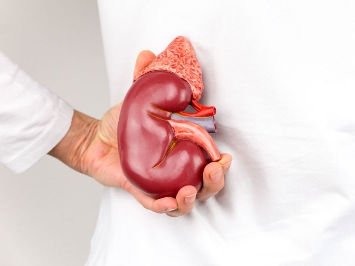 What Can Cause Damage to your Kidneys?