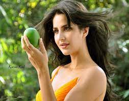 Katrina Kaif’s Net Worth, How Much Is Katrina Kaif’s Worth