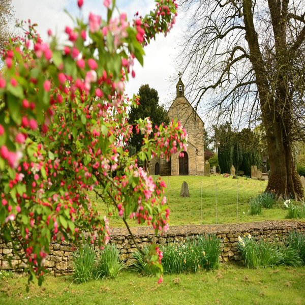 Cremations Near Me