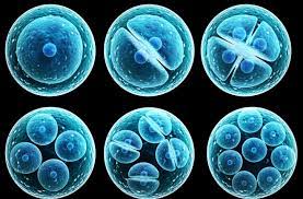 Stem Cells Drivers, Restraints and Challenges Analysis Report 2021-2027