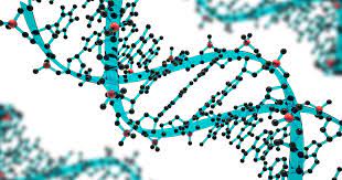 Global Genome Engineering Market 2021 Analysis Report by Recent Developments and Emerging Technologies Till 2027