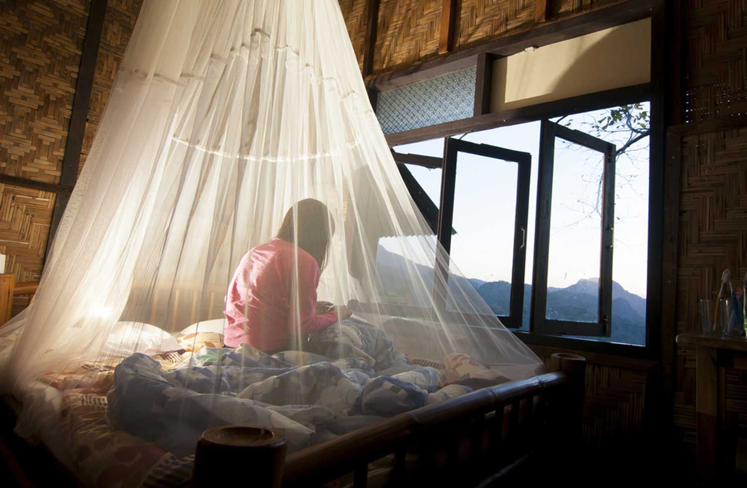 Best Foldable Mosquito Net -ignitto
