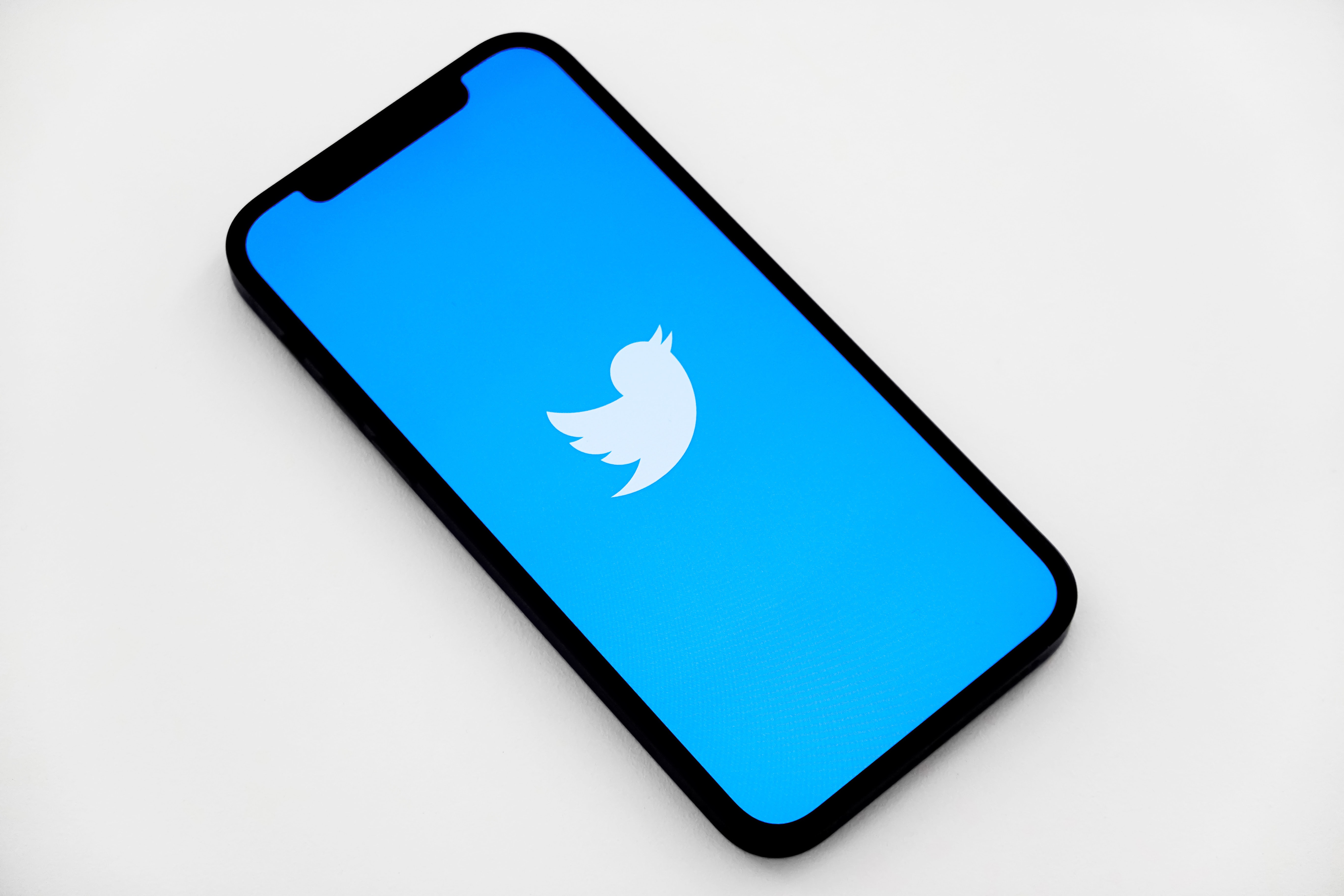 How to Conduct a Twitter Audit?