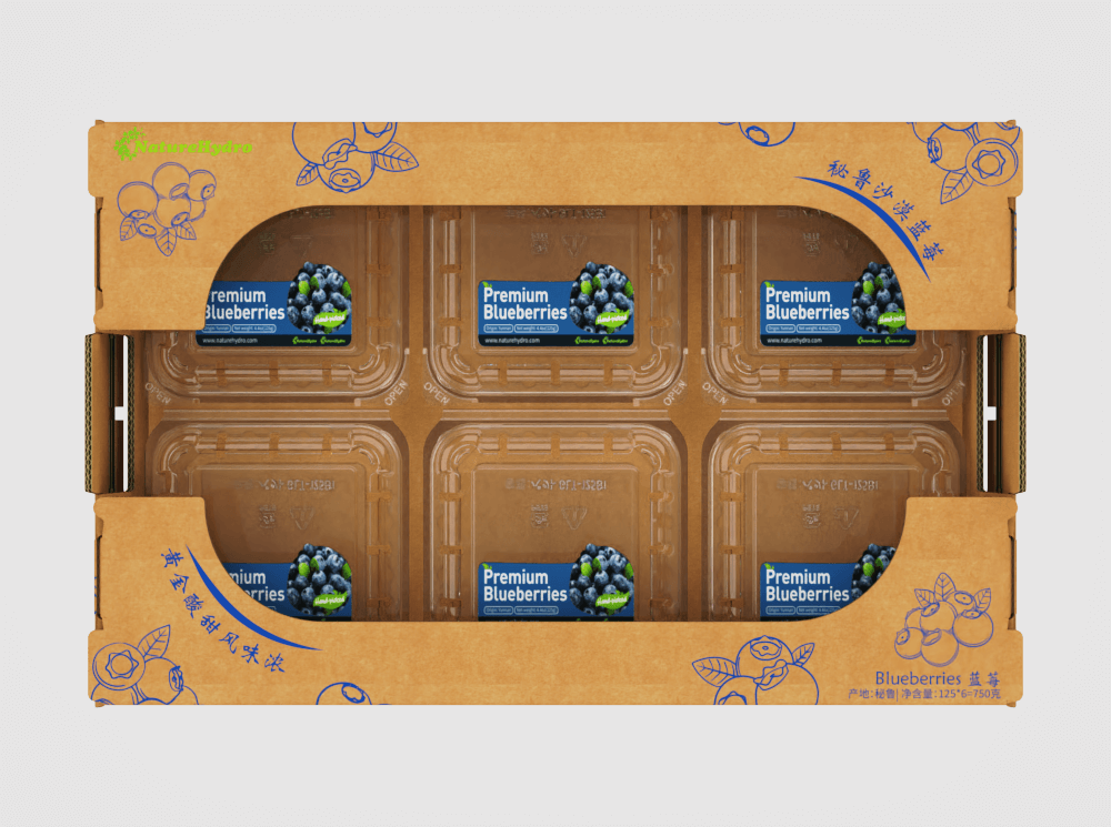How to Choose a Reliable Supplier for Blueberry Carton Boxes