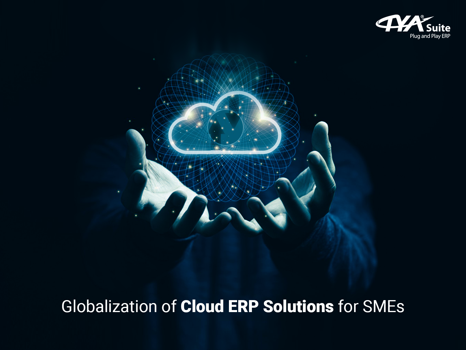 Globalization of Cloud ERP Solutions for SMEs