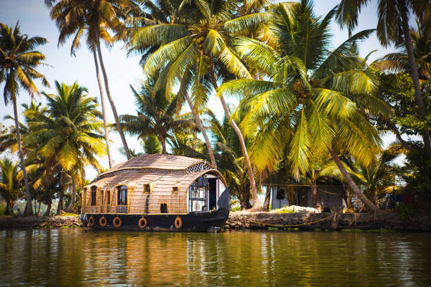 Heavenly Escapes: Discovering Luxury Resorts in Madikeri