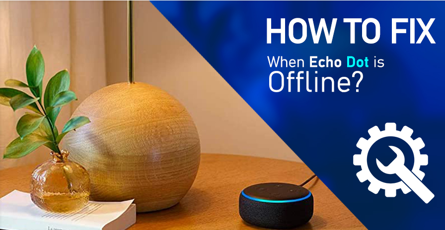How to Fix Echo Dot Offline Issue Quickly