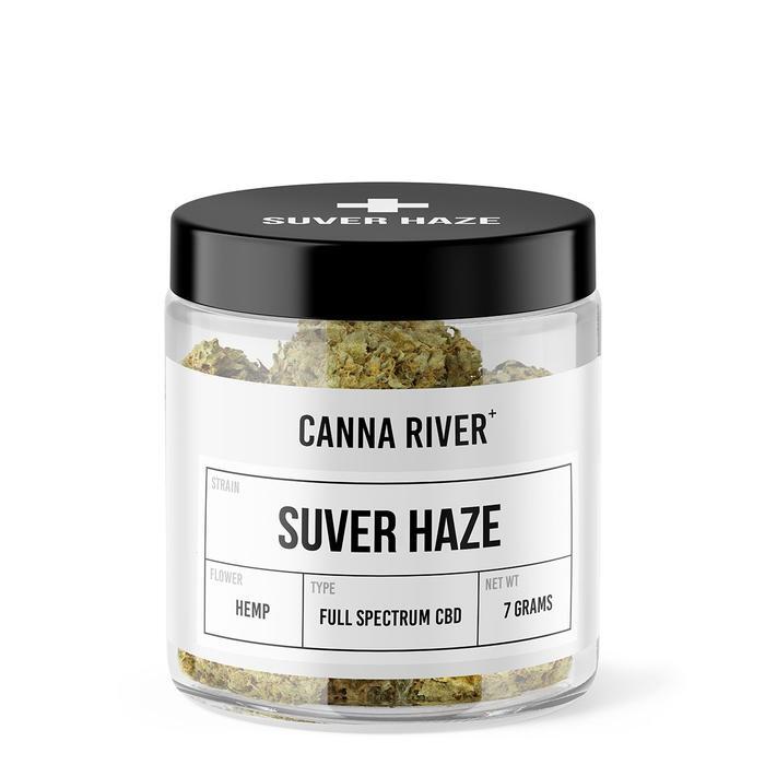 A Complete Review of Suver Haze Strain