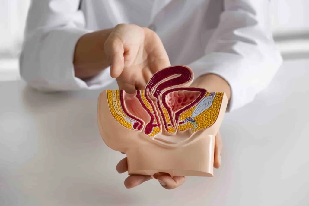 Understanding the Difference Between Piles and Fistulas: Causes, Symptoms, and Treatment