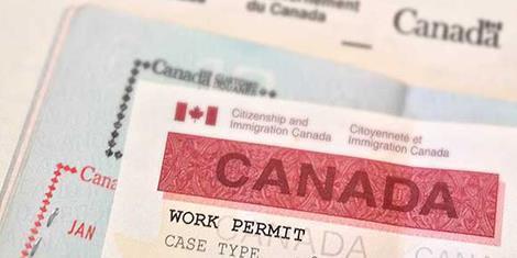 Work Permit Consultant Surrey