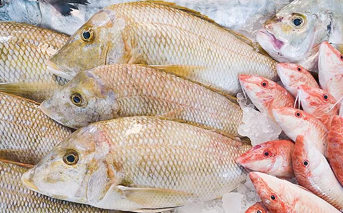 Dubai Seafood Restaurant