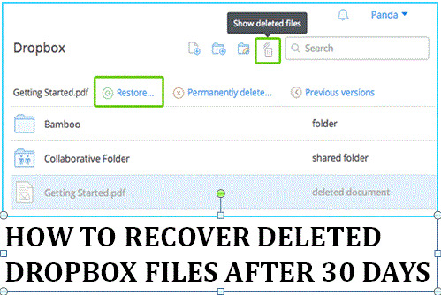 How To Recover Deleted Dropbox Files After 30 Days | SnakePoke