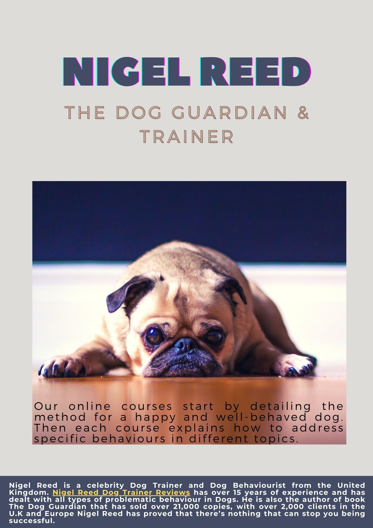 Nigel Reed Dog Trainer & Dog Behaviourist