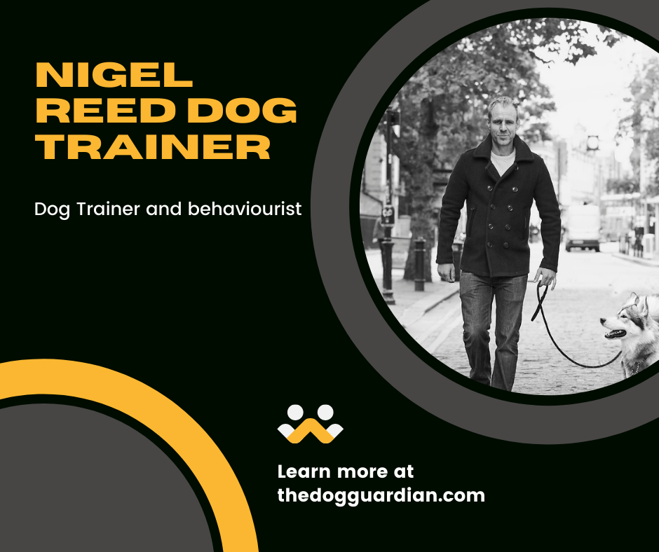 Nigel Reed Dog Trainer & Dog Behaviourist