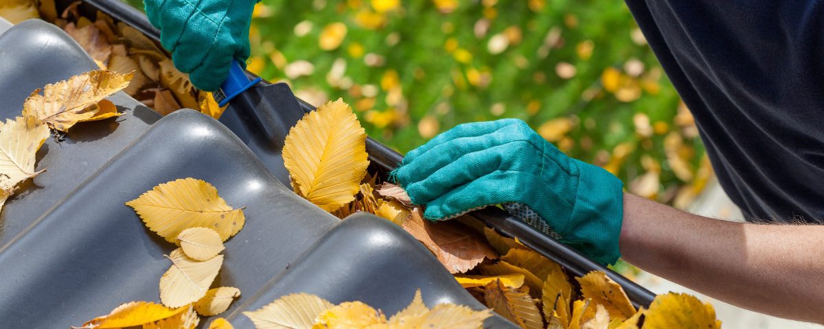 End of Summer Home Roof Maintenance: What to Know