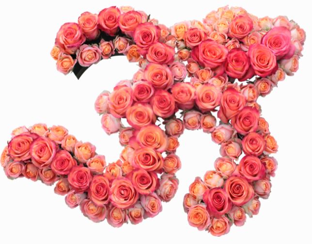 Know about Islamic Funeral Arrangements and traditions in Tooting