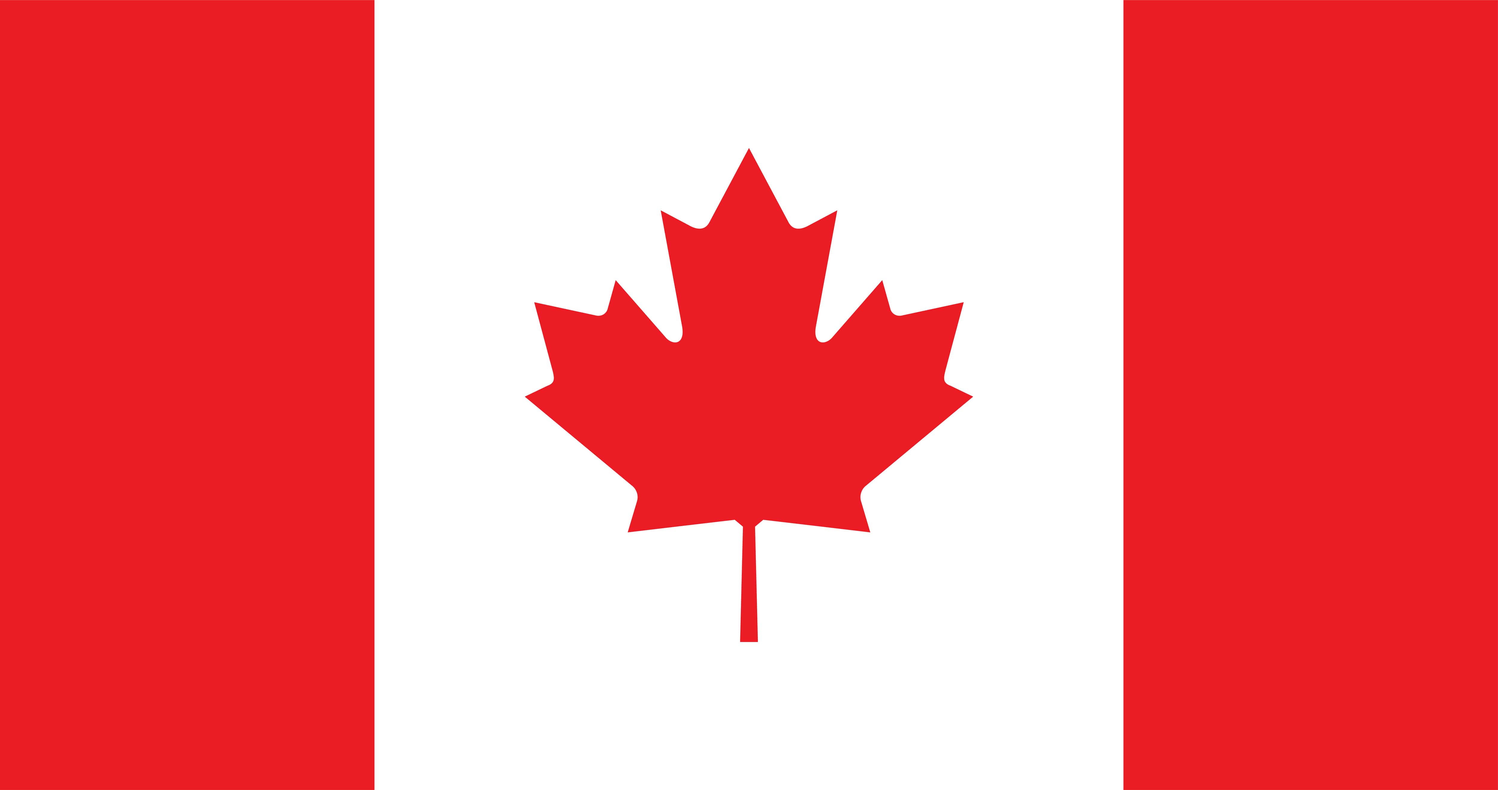 How Long Since Canada Immigration platforms Finally Offers Us Significant Options to Gain Control Over Our Future?