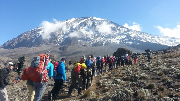 Trekking of High-Altitude Mount Kilimanjaro – Experience Kilimanjaro Trekking Tours