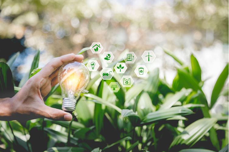 Types & Sources of Renewable Energy