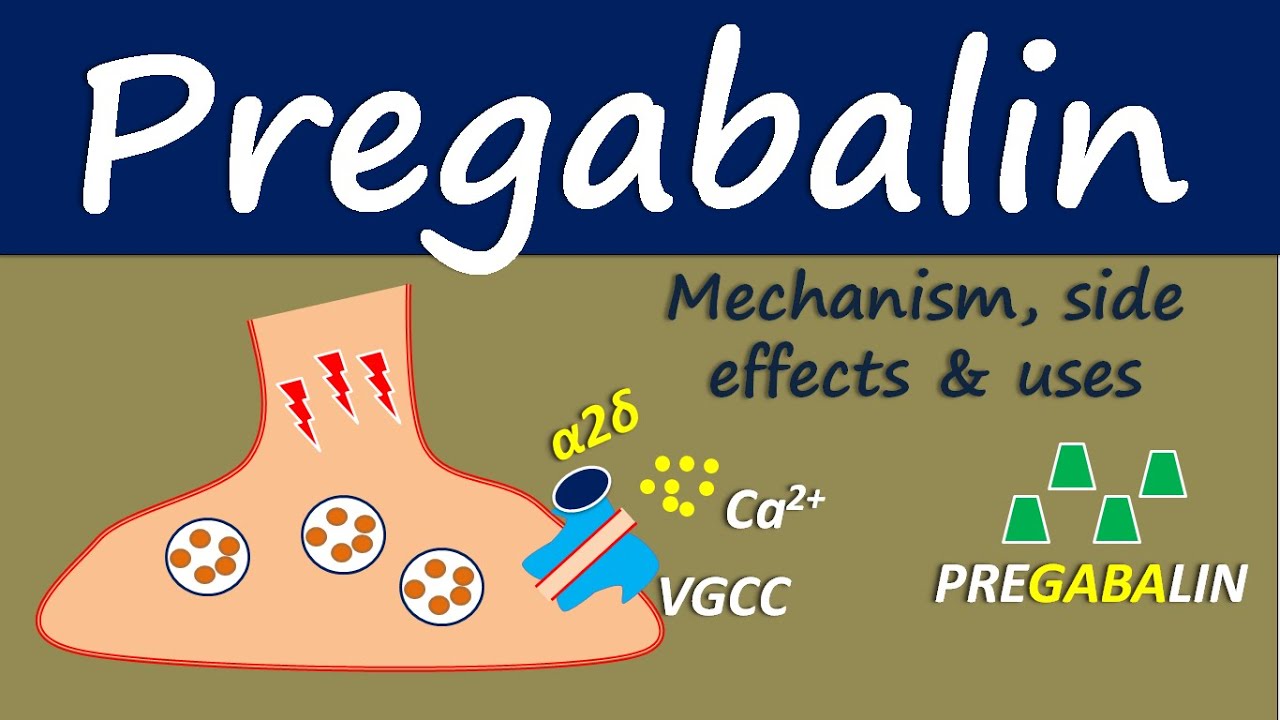 Lyrica (Pregabalin) 300Mg and How Does it Work?