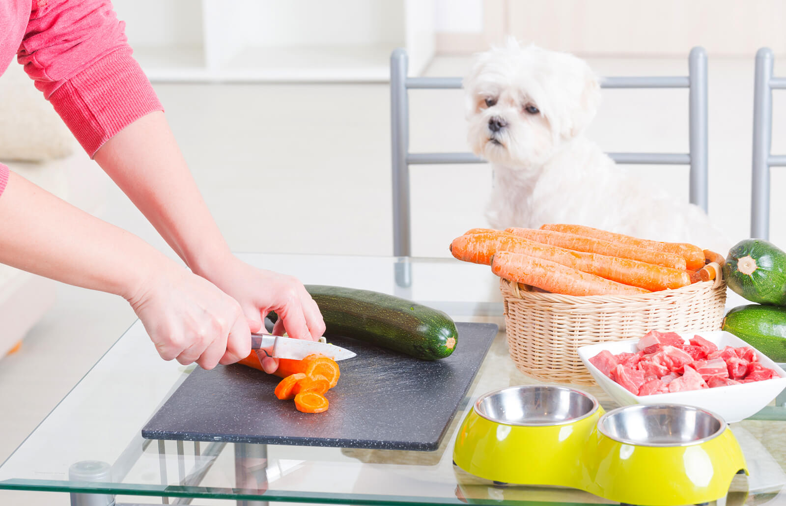 Grab the Best and Affordable Deals on Pet Fresh Dog Food with us 