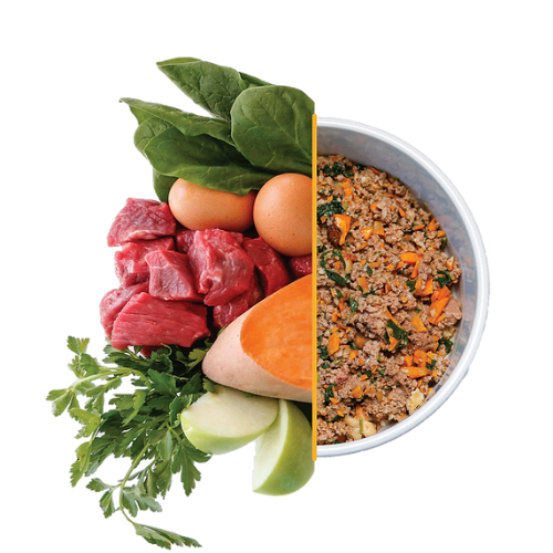 Get Affordable Deals on Pet Fresh Dog Food from Tukkamate