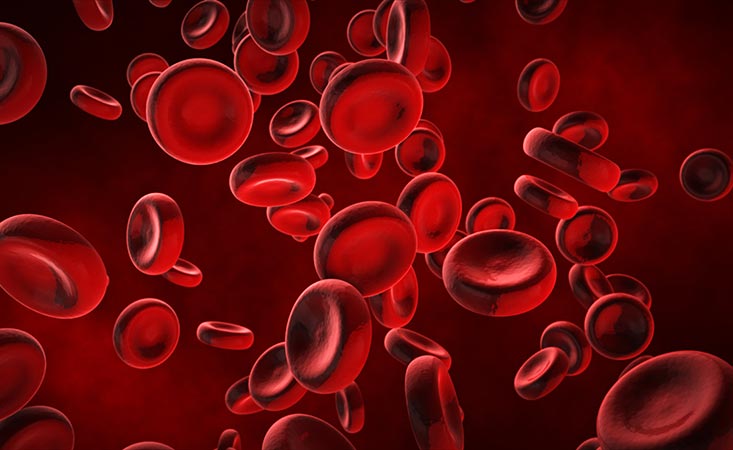 Blood And Blood Components Market Emerging Trends And Forecast To 2030