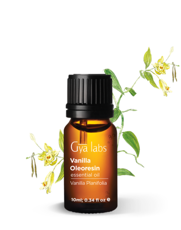 VANILLA ESSENTIAL OIL: HOW TO MAKE IT, AS WELL AS ITS APPLICATIONS.