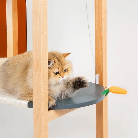 Best Buy Cat Toys Australia Online