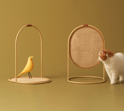 Best Buy Cat Grass Online