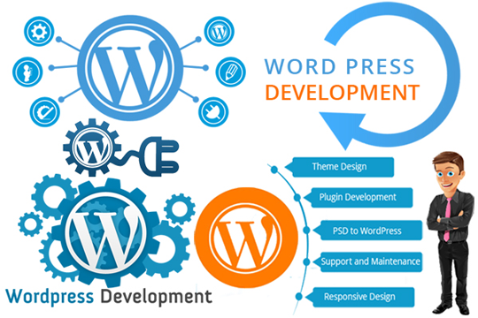 Wordpress Development Company in Chennai