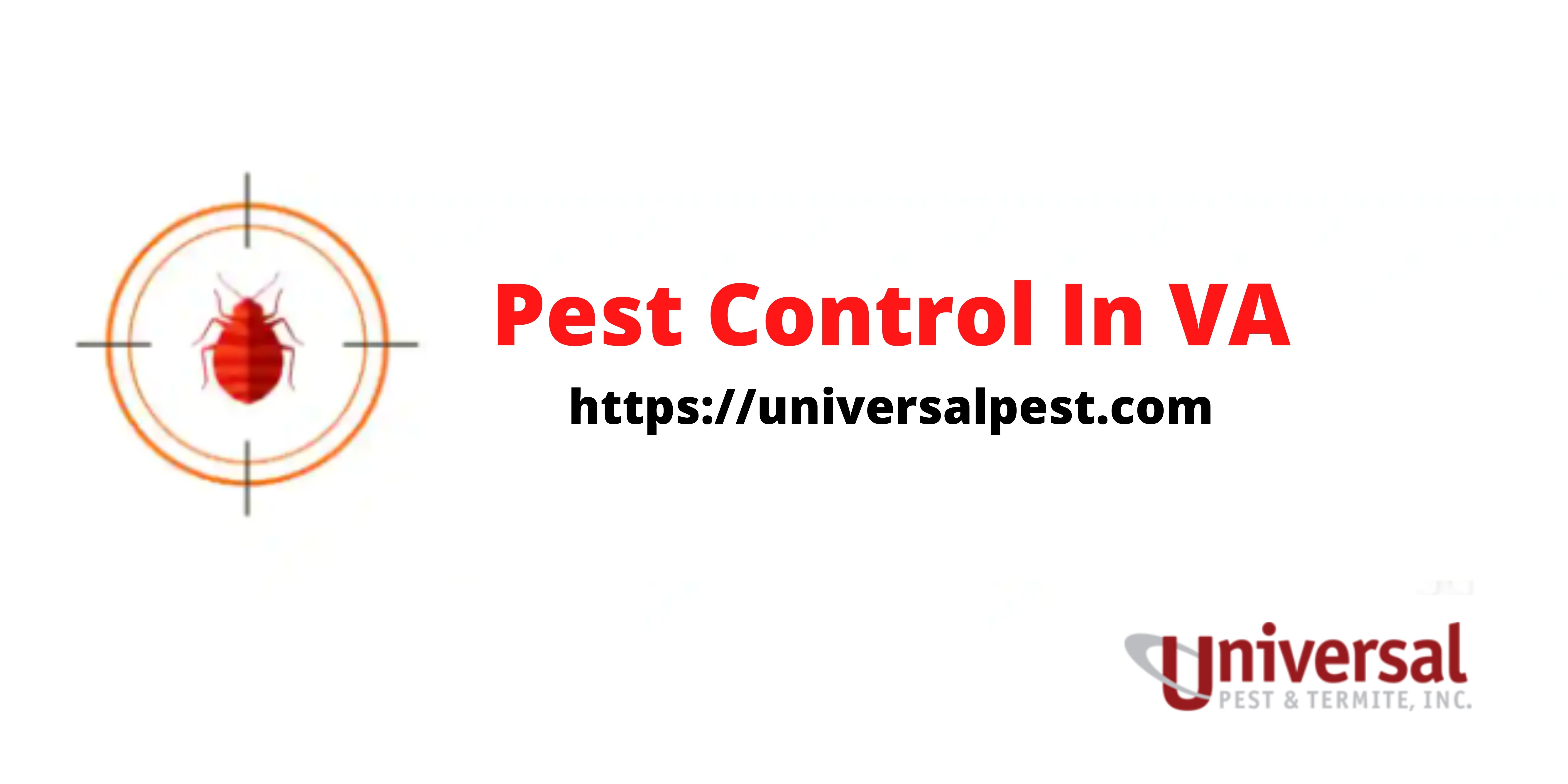 Do Natural Pest Control Services Really Work?