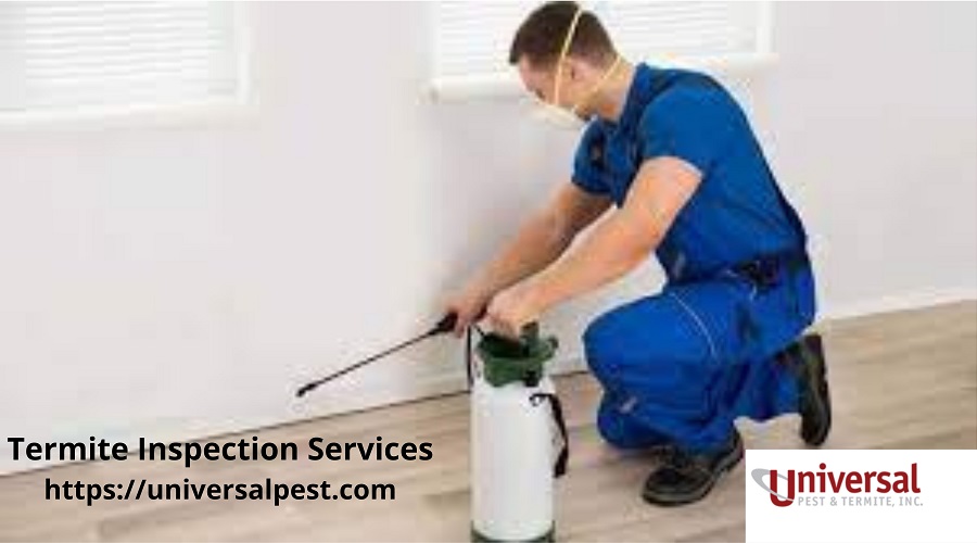 Termite Inspection Near Me