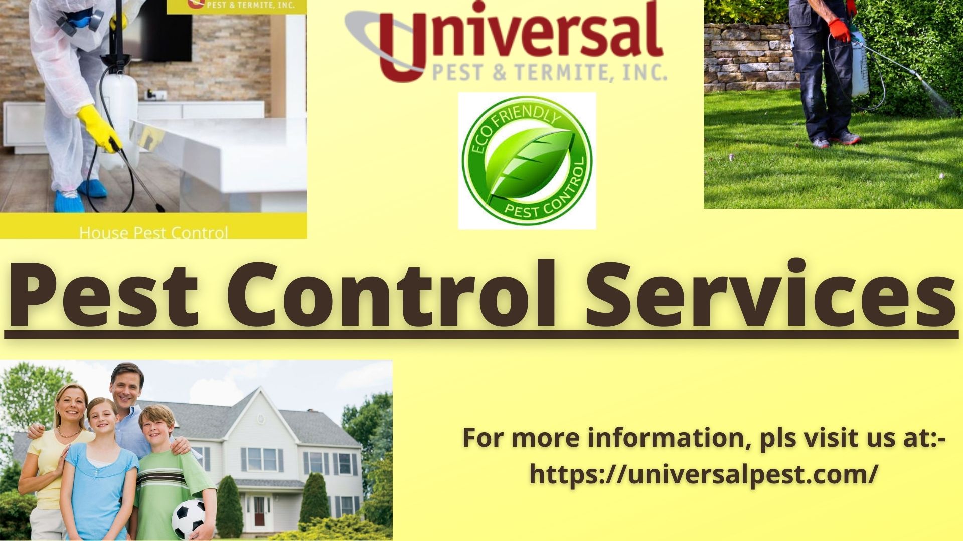 Solve Your All Queries Regarding Pest Control Services