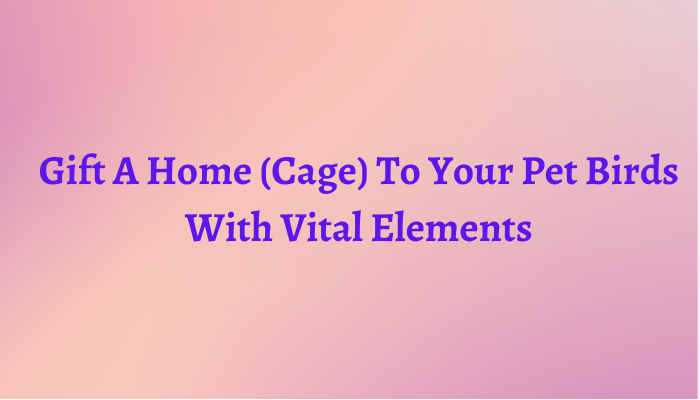 Gift A Home (Cage) To Your Pet Birds With Vital Elements