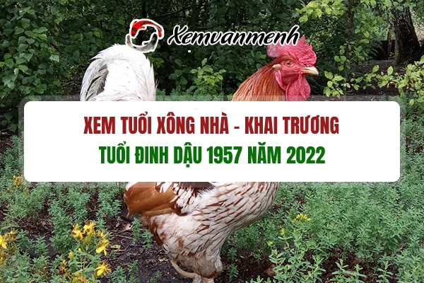 Xem tuổi xông đất mở hàng đầu năm 2022 cho tuổi Đinh Dậu 1957