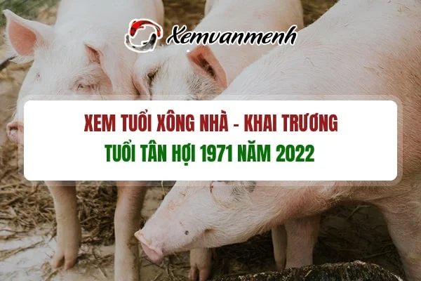 Coi tuổi hợp mở hàng, xông nhà tuổi Tân Hợi năm 2022 chính xác!