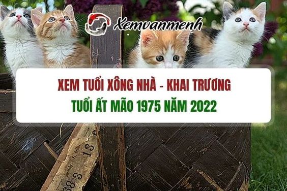 Coi tuổi mở hàng, xông nhà tuổi Kỷ Dậu năm 2022 chuẩn xác nhất!
