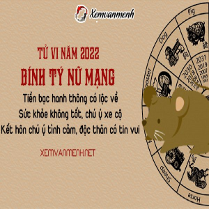 Xem tử vi tuổi Bính Tý - Năm 2022 nữ mạng 1996