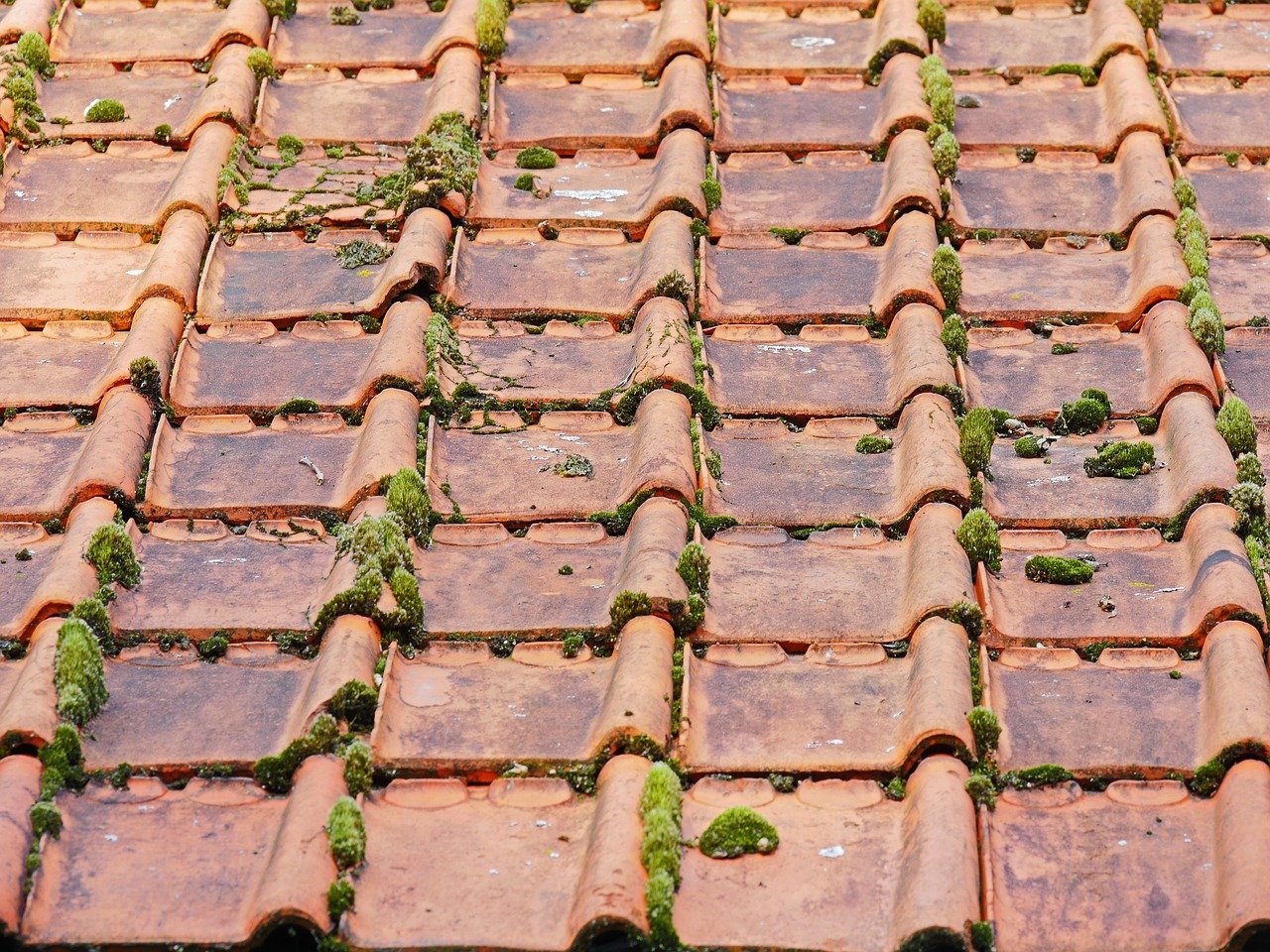 An Old Roof Needs Regular Maintenance