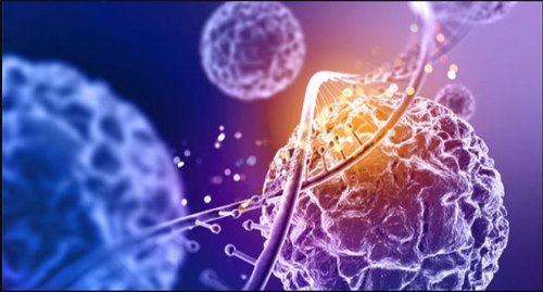 Antimicrobial Additives Are Becoming A Popular Choice For The Manufacturing Industry As They Are Less Harmful To Humans Than Other Chemicals