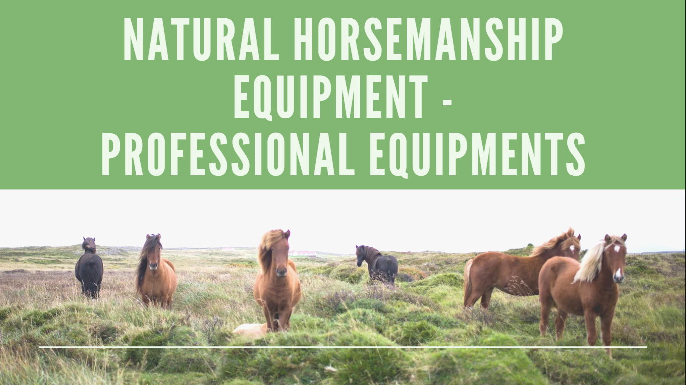 NATURAL HORSEMANSHIP EQUIPMENT - PROFESSIONAL EQUIPMENTS